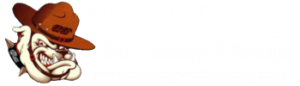 Bad Dog Web Hosting